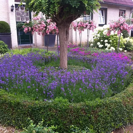 Or Nearby Roermond Outlet Chalet Stevensweert