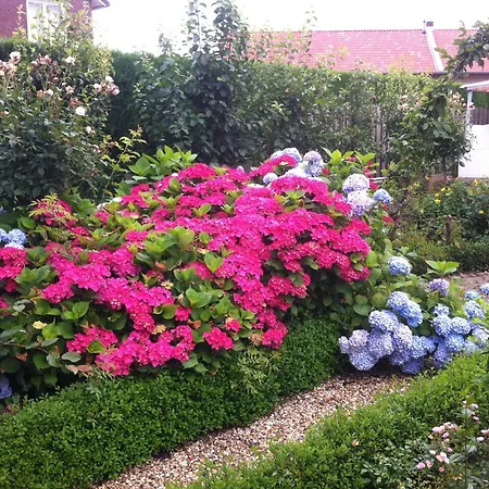 Or Nearby Roermond Outlet Chalet