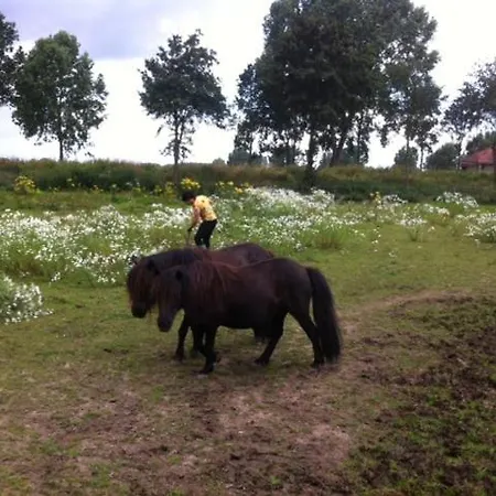 Or Nearby Roermond Outlet *