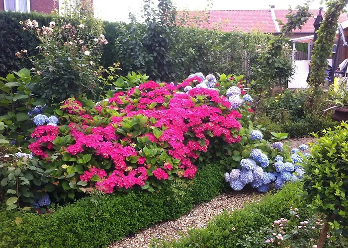 Or Nearby Roermond Outlet Chalet