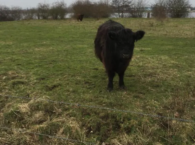 Chalet Or Nearby Roermond Outlet