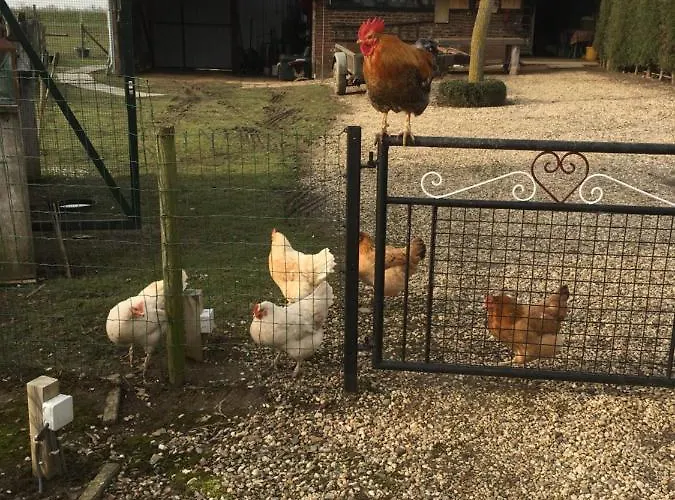 Or Nearby Roermond Outlet