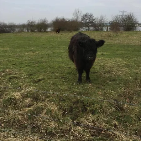 Alpstuga Or Nearby Roermond Outlet