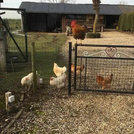 Or Nearby Roermond Outlet