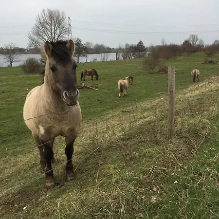 Alpstuga Or Nearby Roermond Outlet *