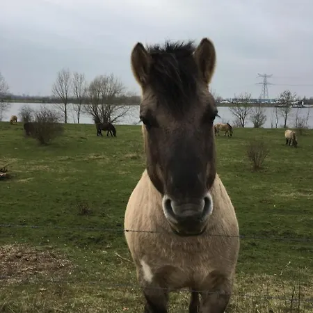 Or Nearby Roermond Outlet Alpstuga *