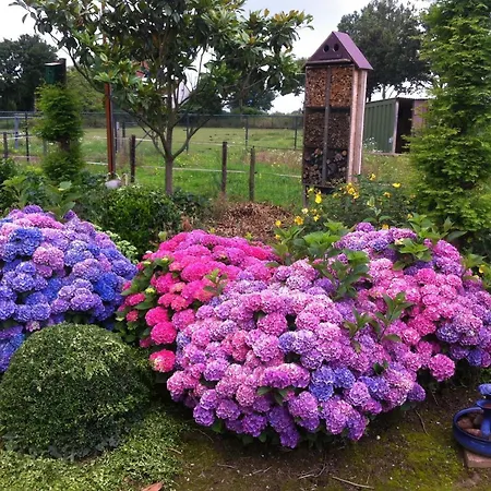 Or Nearby Roermond Outlet * Stevensweert