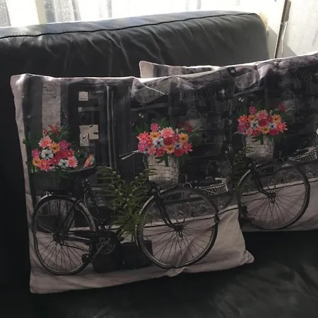 Alpstuga Or Nearby Roermond Outlet *