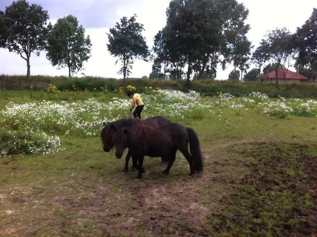 Or Nearby Roermond Outlet *