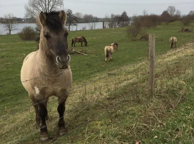 Σαλέ Or Nearby Roermond Outlet *