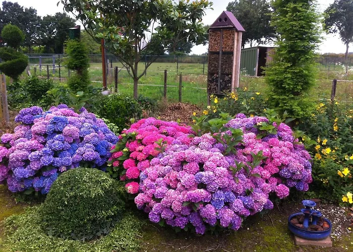 Or Nearby Roermond Outlet * Stevensweert